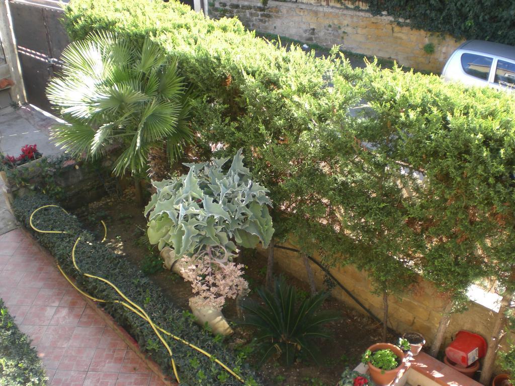 Bouganville * San Leone